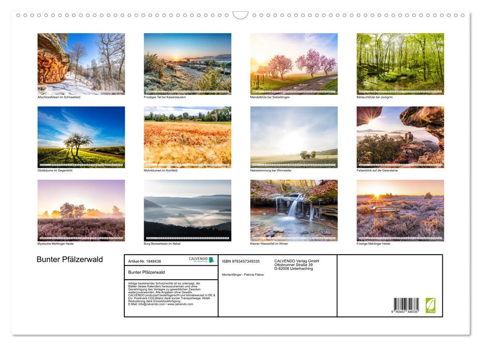 Bunter Pfälzerwald (CALVENDO Wandkalender 2026)