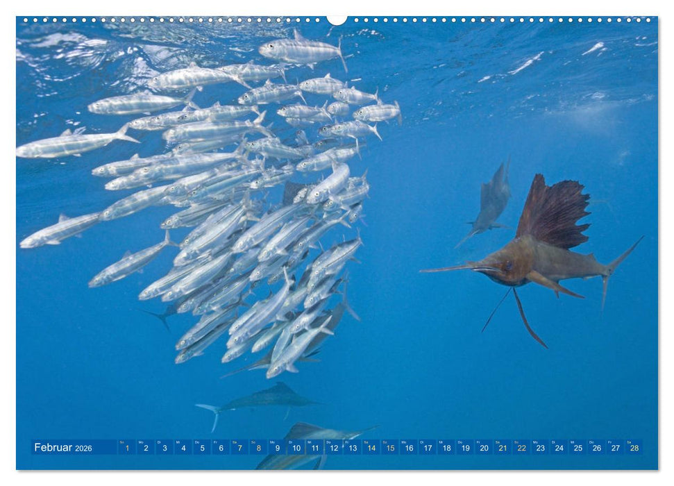 Farben und Muster der Erde (CALVENDO Premium Wandkalender 2026)