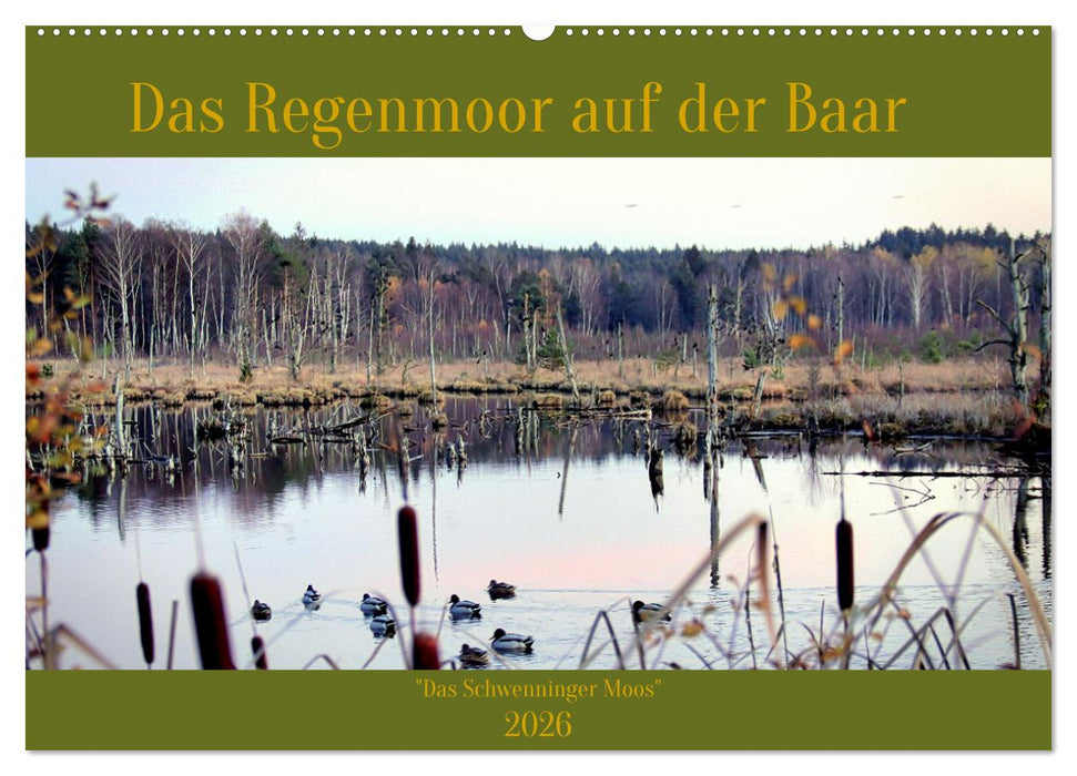 Das Regenmoor auf der Baar (CALVENDO Wandkalender 2026)
