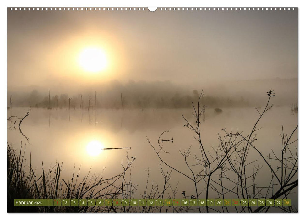 Das Regenmoor auf der Baar (CALVENDO Wandkalender 2026)