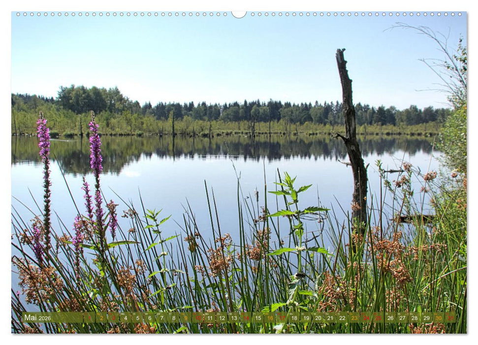 Das Regenmoor auf der Baar (CALVENDO Wandkalender 2026)