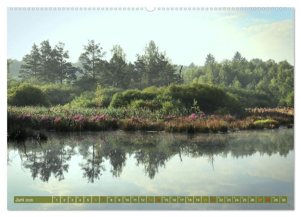 Das Regenmoor auf der Baar (CALVENDO Wandkalender 2026)