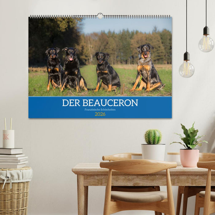 Der Beauceron (CALVENDO Wandkalender 2026)