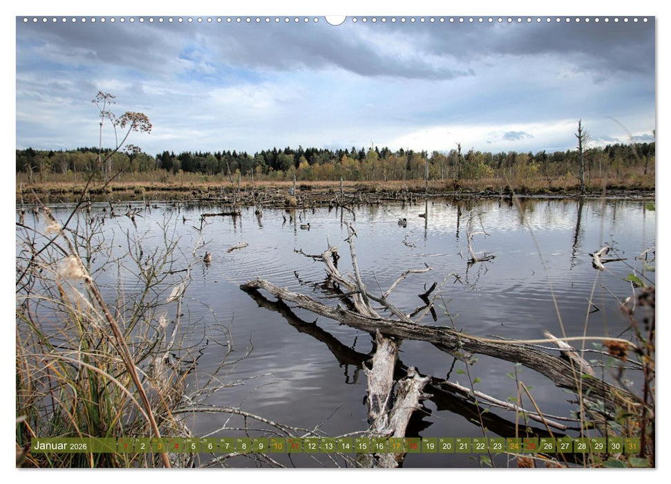Das Regenmoor auf der Baar (CALVENDO Premium Wandkalender 2026)