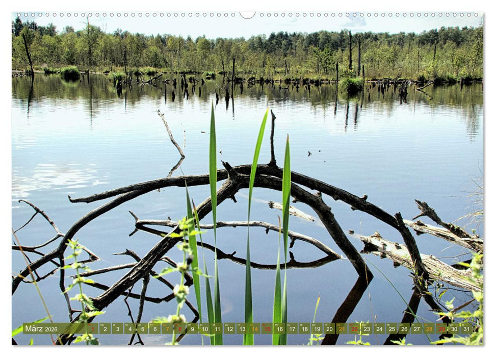 Das Regenmoor auf der Baar (CALVENDO Premium Wandkalender 2026)