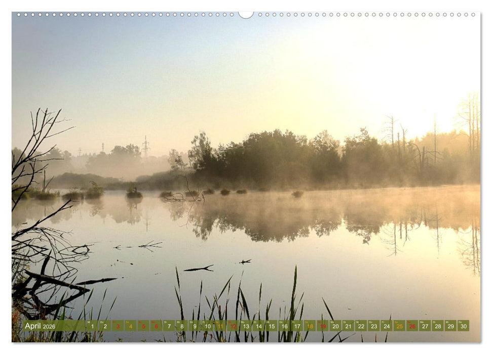 Das Regenmoor auf der Baar (CALVENDO Premium Wandkalender 2026)