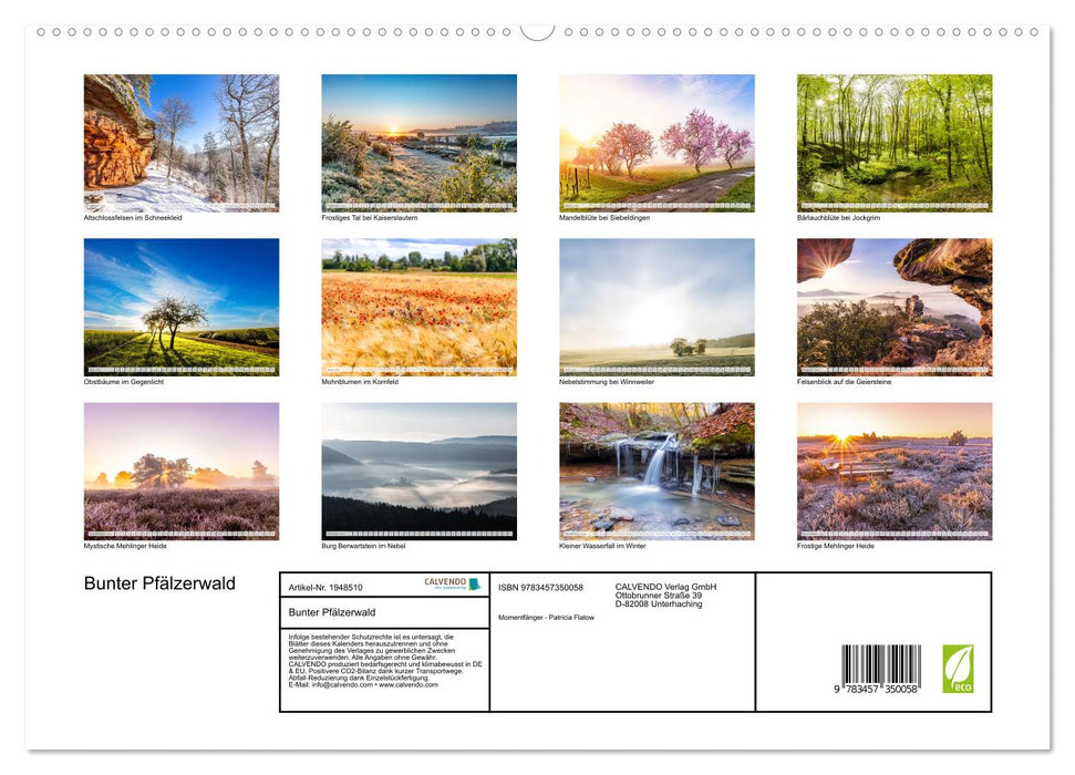 Bunter Pfälzerwald (CALVENDO Premium Wandkalender 2026)