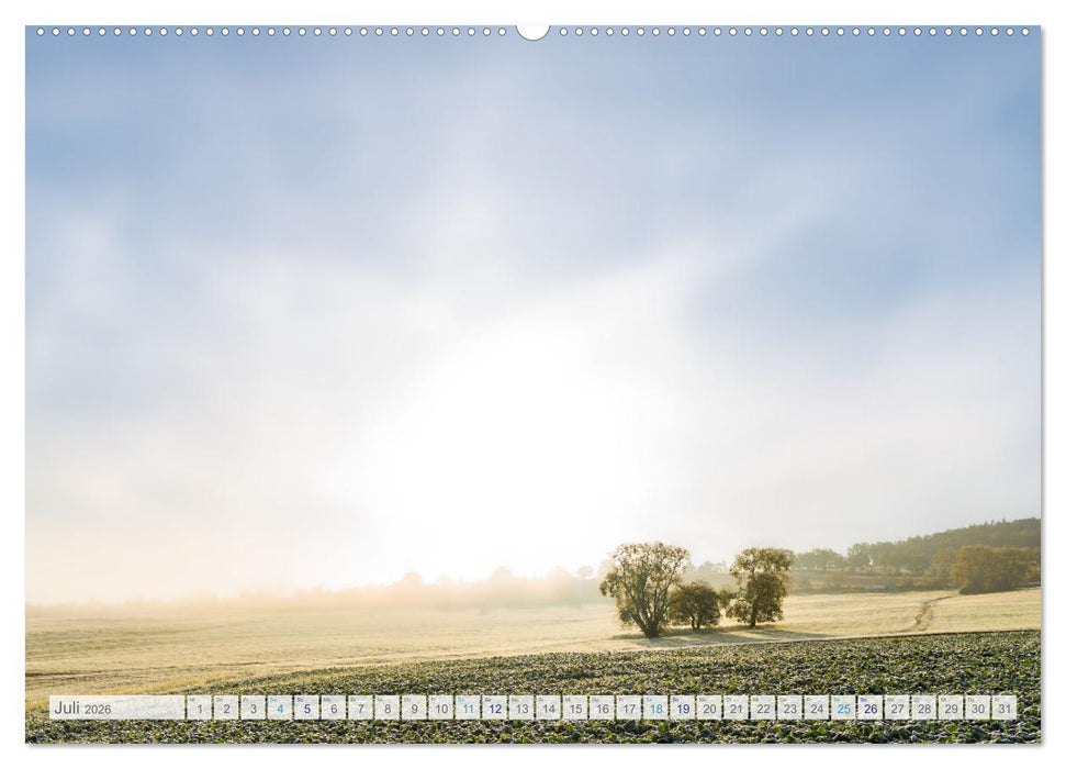 Bunter Pfälzerwald (CALVENDO Premium Wandkalender 2026)