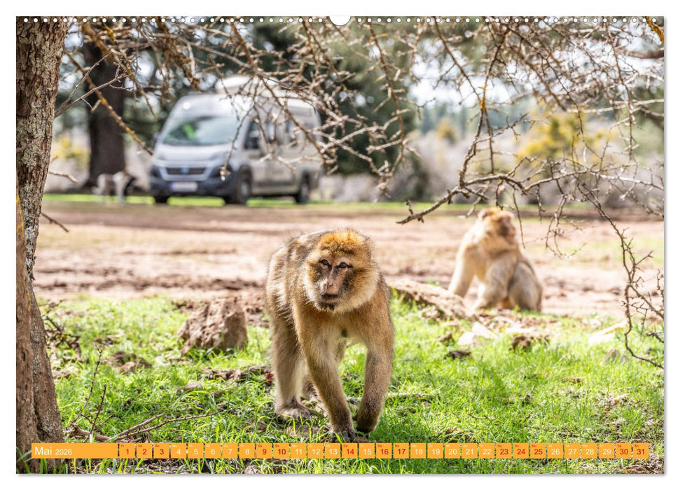 MAROKKO per WOHNMOBIL (CALVENDO Wandkalender 2026)