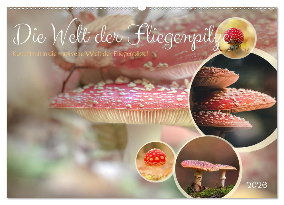 Die Welt der Fliegenpilze (CALVENDO Wandkalender 2026)