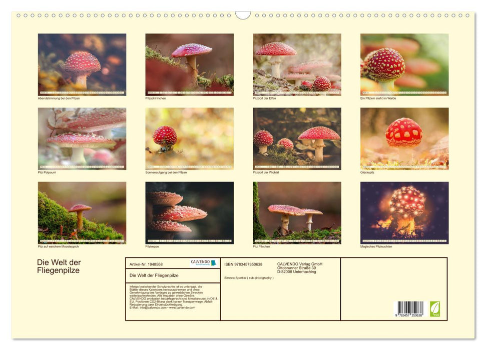 Die Welt der Fliegenpilze (CALVENDO Wandkalender 2026)