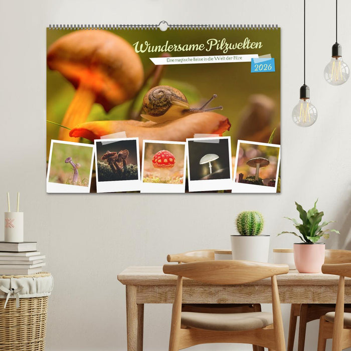 Wundersame Pilzwelten (CALVENDO Wandkalender 2026)
