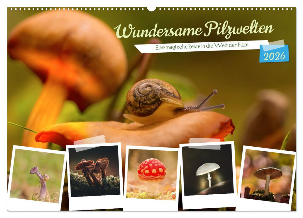 Wundersame Pilzwelten (CALVENDO Wandkalender 2026)