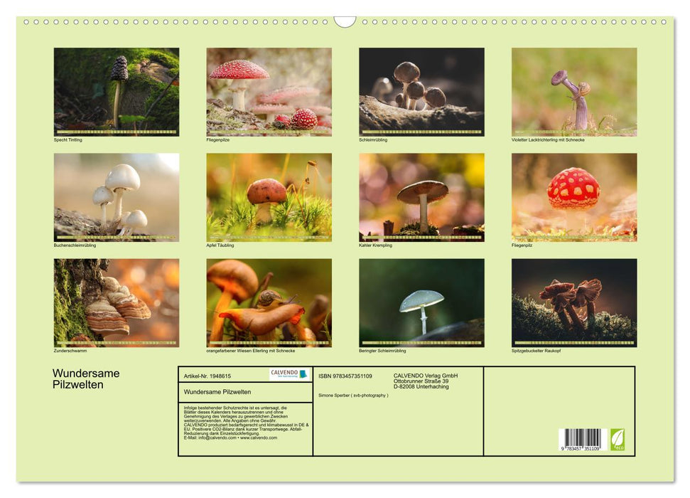 Wundersame Pilzwelten (CALVENDO Wandkalender 2026)