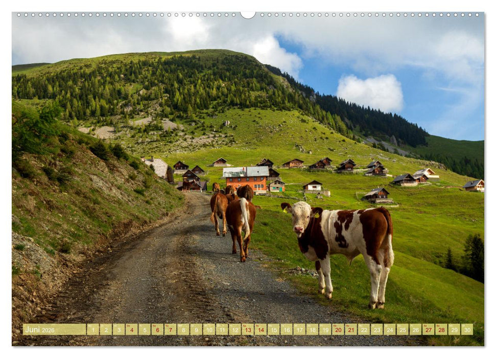 Die Feistritzer Alm - Wandern in den Kärntner Bergen (CALVENDO Premium Wandkalender 2026)