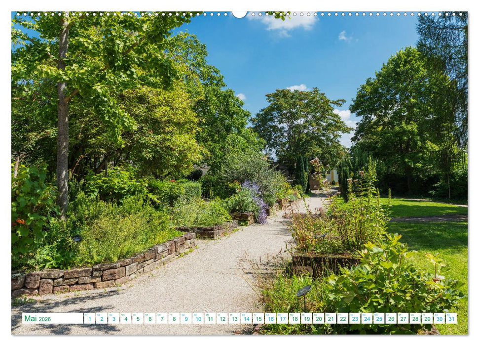 Freinsheim - So Wunderbar (CALVENDO Premium Wandkalender 2026)