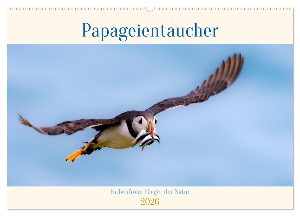 Papageientaucher - Farbenfrohe Flieger der Natur (CALVENDO Wandkalender 2026)