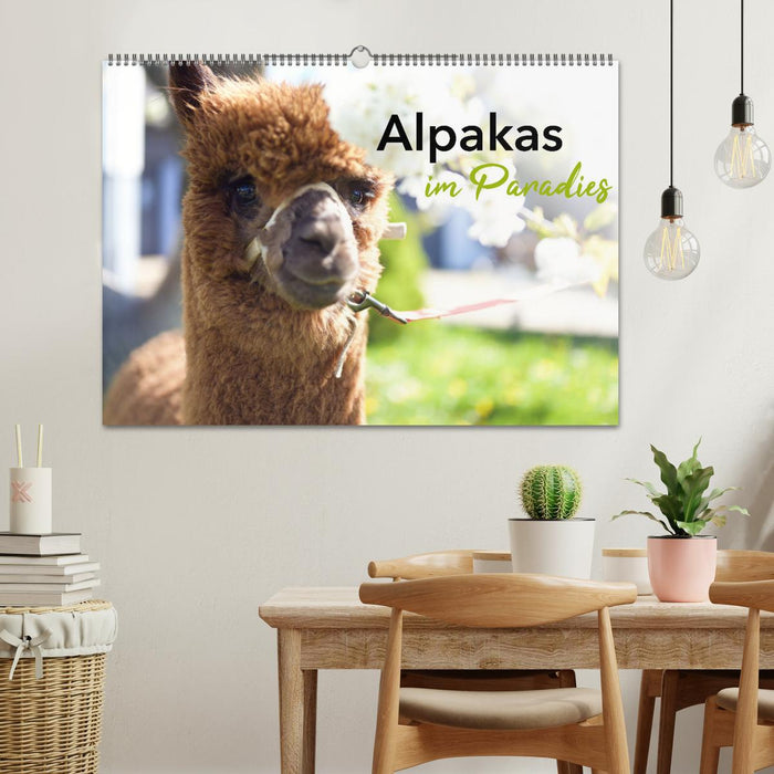 Alpakas im Paradies (CALVENDO Wandkalender 2026)