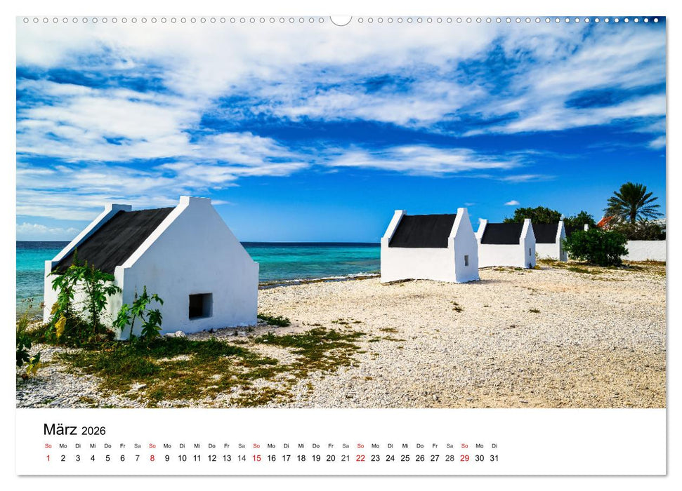 Traumziele Karibik (CALVENDO Wandkalender 2026)