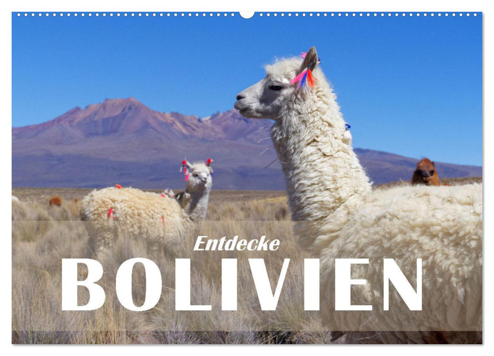 Entdecke Bolivien (CALVENDO Wandkalender 2026)