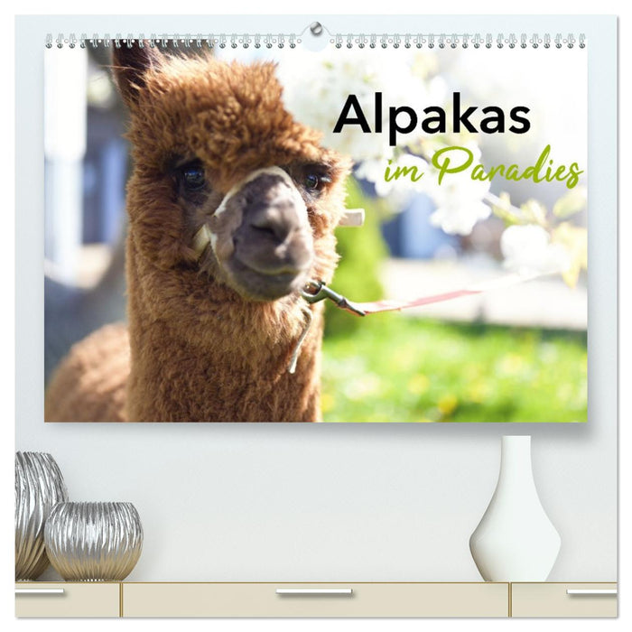 Alpakas im Paradies (CALVENDO Premium Wandkalender 2026)
