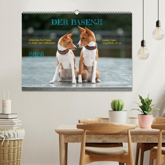 Der Basenji (CALVENDO Wandkalender 2026)