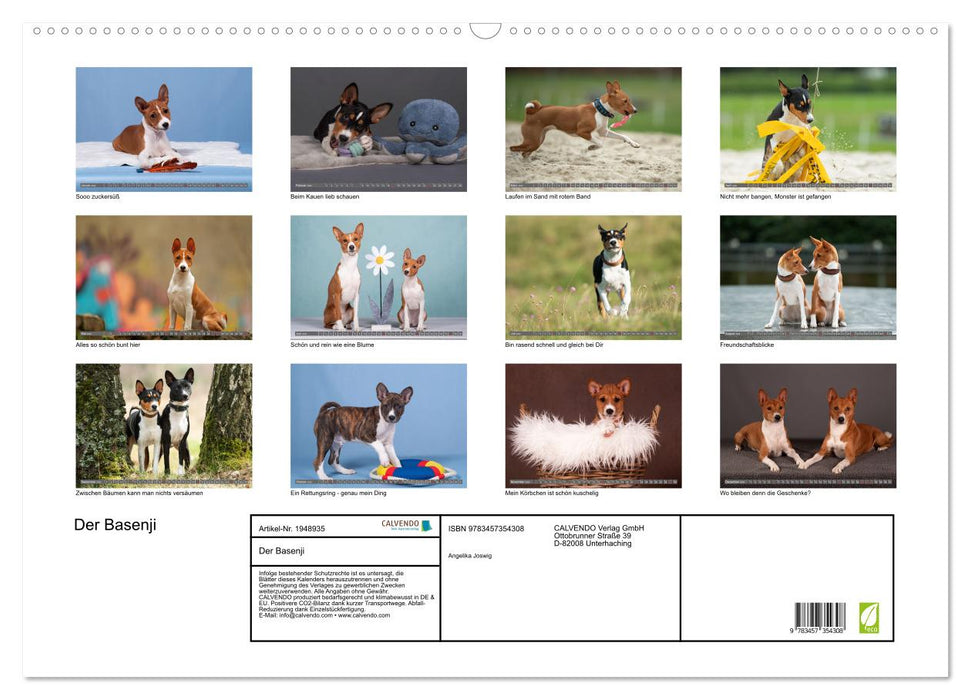 Der Basenji (CALVENDO Wandkalender 2026)