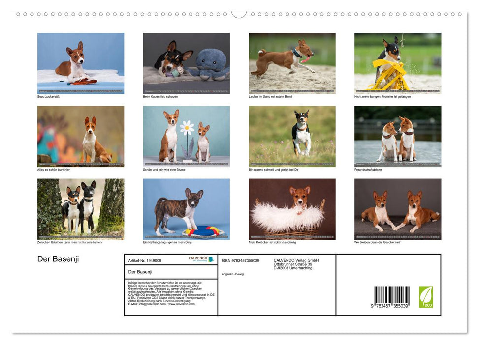 Der Basenji (CALVENDO Premium Wandkalender 2026)