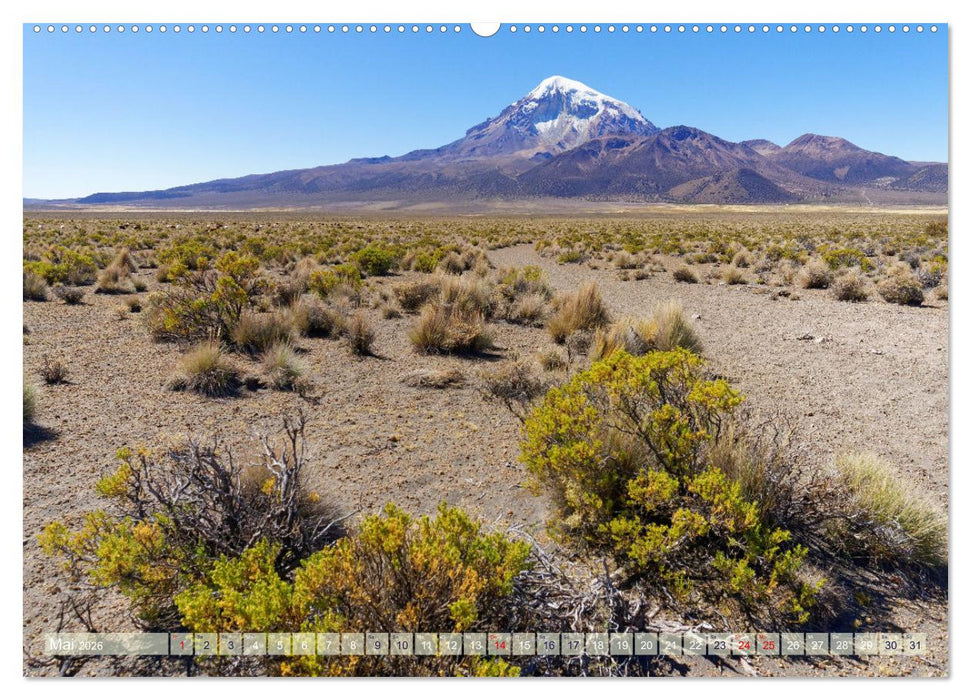 Entdecke Bolivien (CALVENDO Premium Wandkalender 2026)