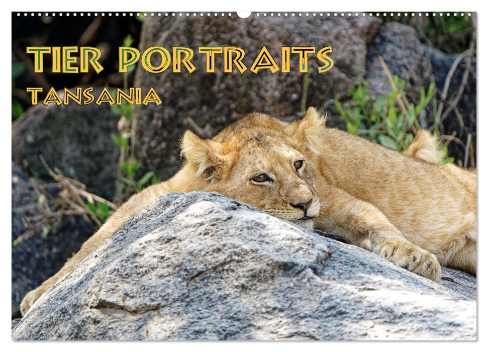 Tier Portraits Tansania (CALVENDO Wandkalender 2026)
