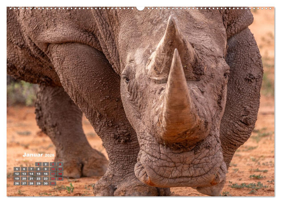 Action in der Savanne (CALVENDO Premium Wandkalender 2026)