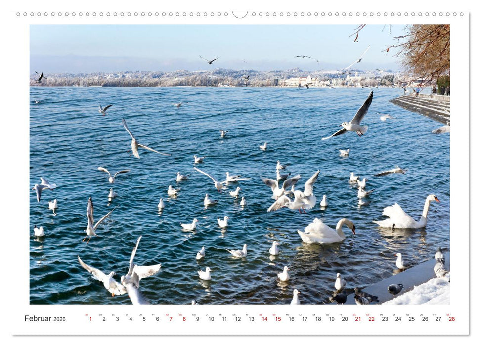Bregenz am Bodensee (CALVENDO Premium Wandkalender 2026)