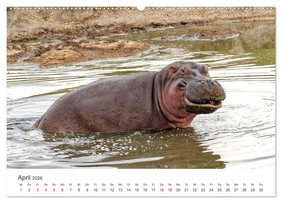 Tier Portraits Tansania (CALVENDO Premium Wandkalender 2026)