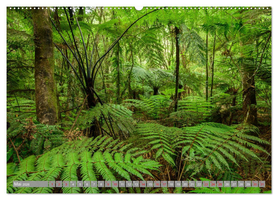 Beautiful Neuseeland (CALVENDO Wandkalender 2026)