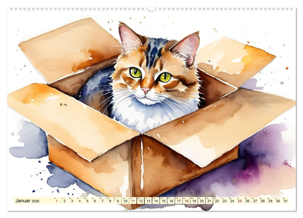 Lieblingsplätze unserer Samtpfoten (CALVENDO Wandkalender 2026)