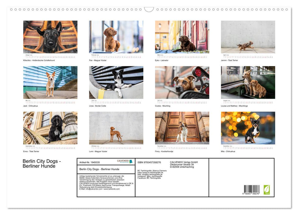 Berlin City Dogs - Berliner Hunde (CALVENDO Wandkalender 2026)