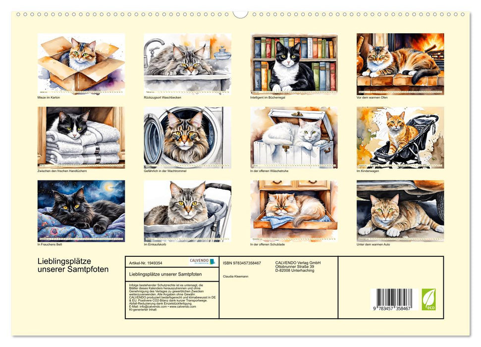 Lieblingsplätze unserer Samtpfoten (CALVENDO Premium Wandkalender 2026)