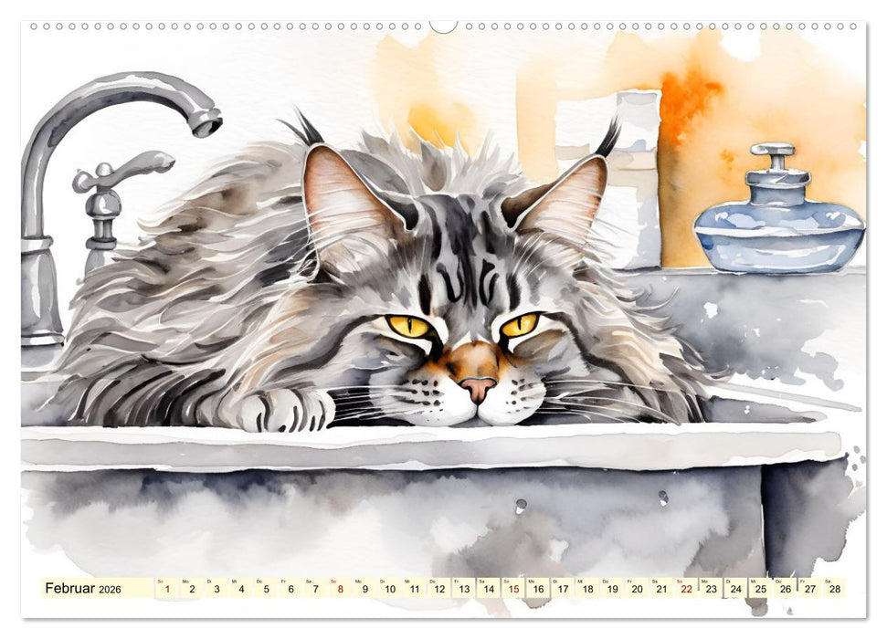 Lieblingsplätze unserer Samtpfoten (CALVENDO Premium Wandkalender 2026)