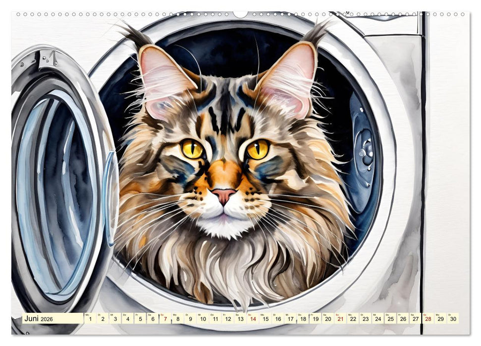 Lieblingsplätze unserer Samtpfoten (CALVENDO Premium Wandkalender 2026)