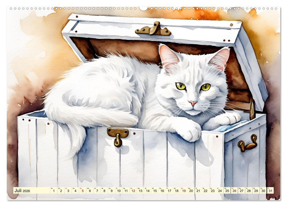 Lieblingsplätze unserer Samtpfoten (CALVENDO Premium Wandkalender 2026)