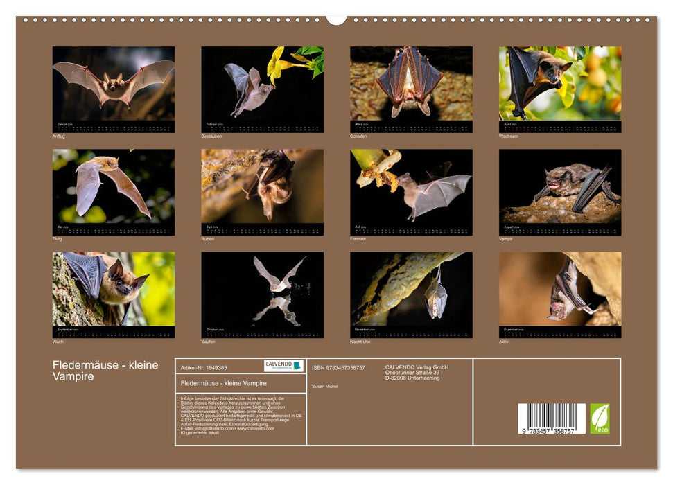 Fledermäuse - kleine Vampire (CALVENDO Premium Wandkalender 2026)