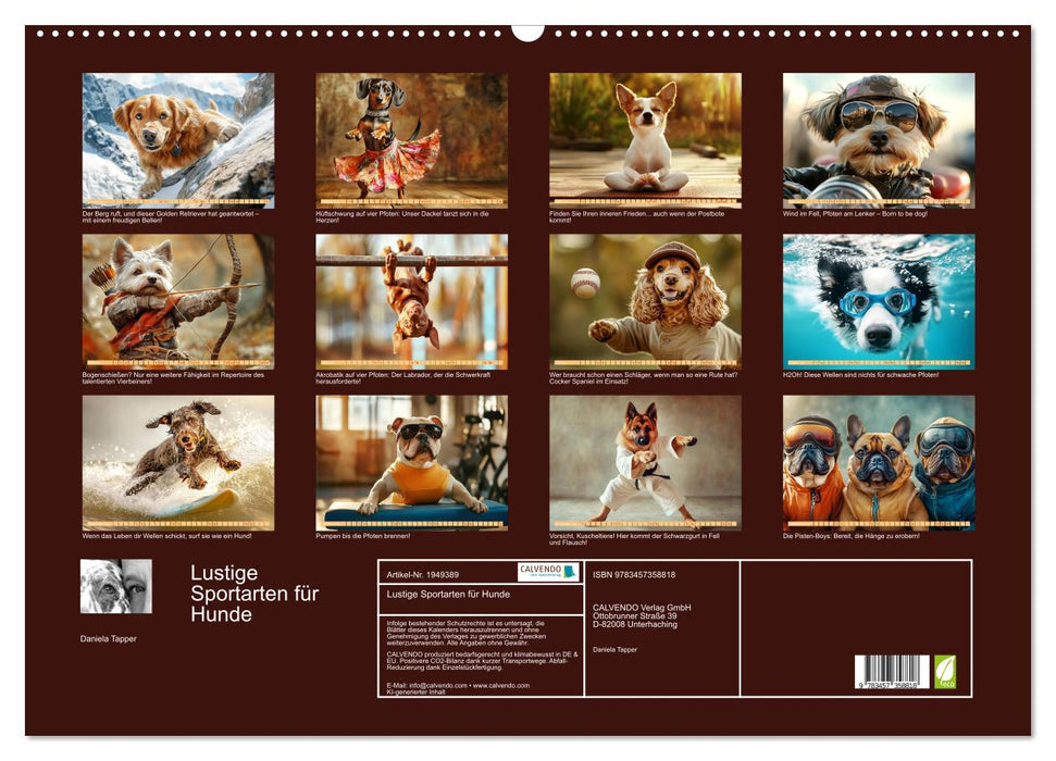 Lustige Sportarten für Hunde (CALVENDO Wandkalender 2026)