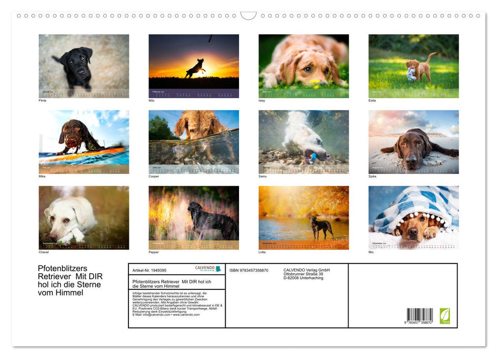 Pfotenblitzers Retriever Mit DIR hol ich die Sterne vom Himmel (CALVENDO Wandkalender 2026)