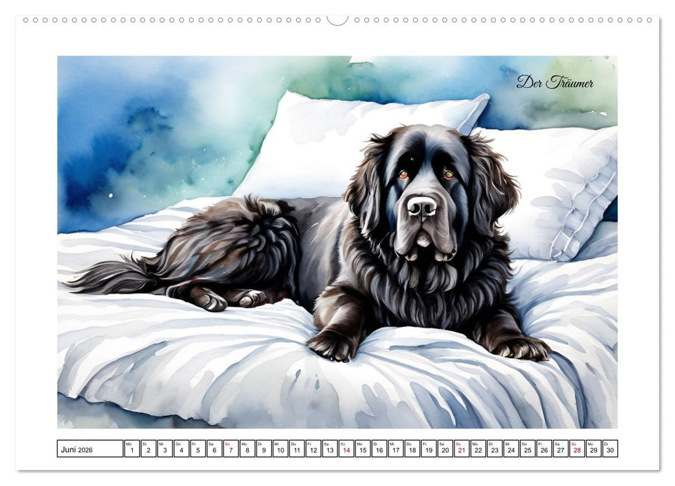Hundeträume (CALVENDO Premium Wandkalender 2026)