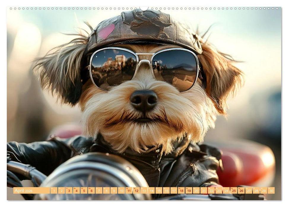 Lustige Sportarten für Hunde (CALVENDO Premium Wandkalender 2026)