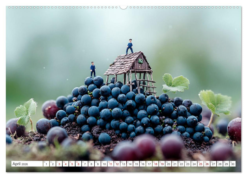 Miniatur-Universum: Ein Jahr in kleinen Welten (CALVENDO Premium Wandkalender 2026)