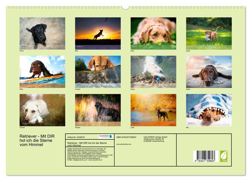 Retriever - Mit DIR hol ich die Sterne vom Himmel (CALVENDO Premium Wandkalender 2026)