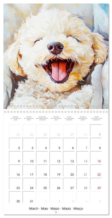 Funny dogs deluxe. Because happy faces make happy days (CALVENDO Monthly Calendar 2026)