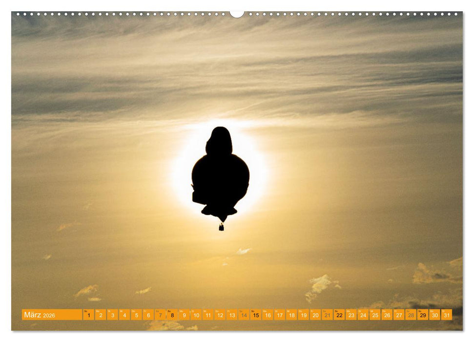 Heißluftballone - Bunte Riesen im Norden (CALVENDO Premium Wandkalender 2026)
