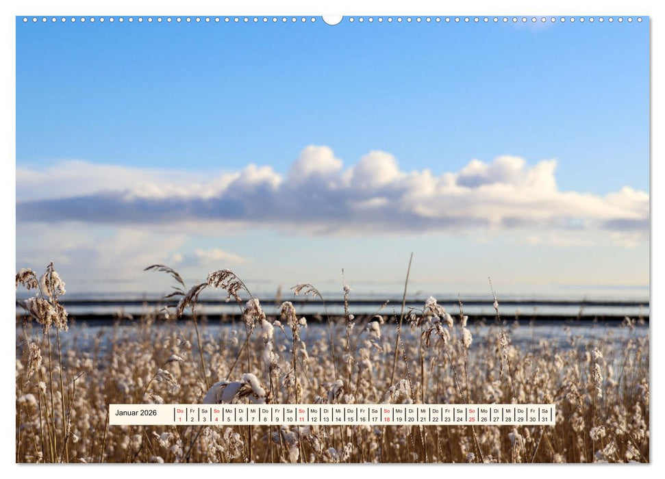Faszination Sylt (CALVENDO Wandkalender 2026)